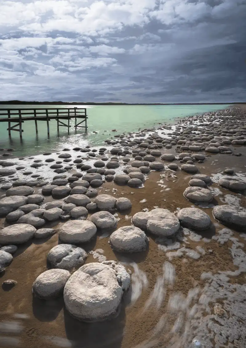 Thrombolites with water